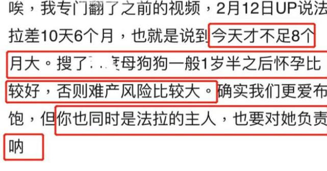 宠物博主刘布宝翻车，恼羞成怒怼网友脏话频出，本人还是老师？