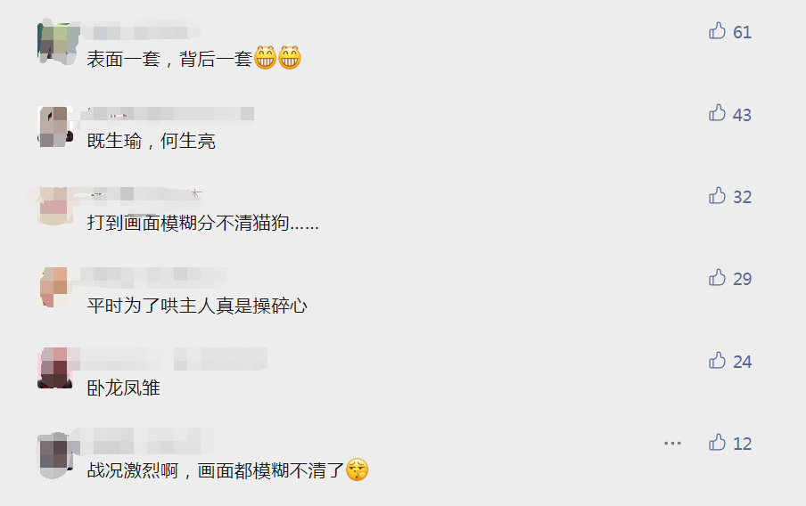 网友刚出门,家里的狗和猫立马打起来:不演了!! 网友刚出门,家里的狗和猫立马打起来:不演了!!