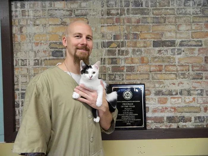 很治愈！可能被安乐死的流浪猫，送去监狱给犯人照顾会怎样