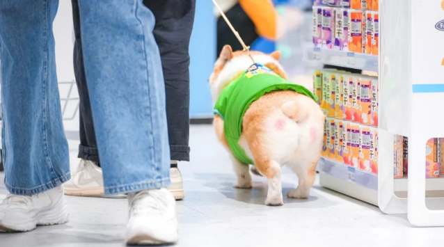 购物中心的新「宠」,月销百万的狗道以大店错位竞争 购物中心的新「宠」,月销百万的狗道以大店错位竞争