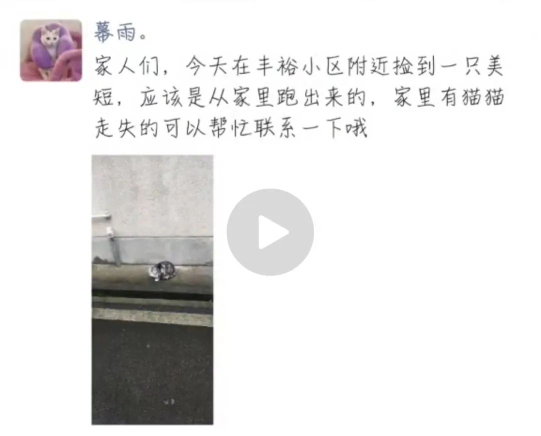 “我在回家路上捡到一只猫，竟是袁爷爷养的猫！”