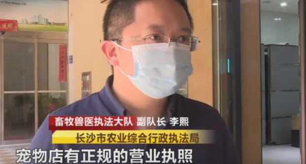 长沙俩大学生怀疑自己买到“星期狗”，找商家理论，商家竟然把宠物狗弄丢了