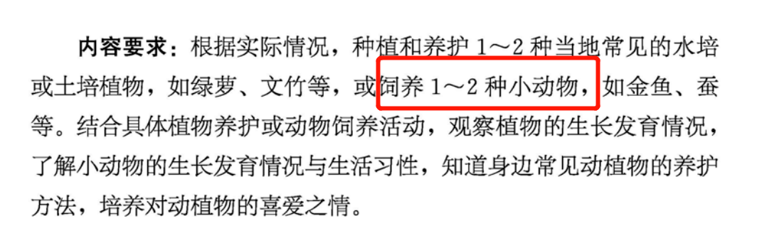 重磅！饲养小动物、流浪动物救助，列入中小学义务教育课程 
