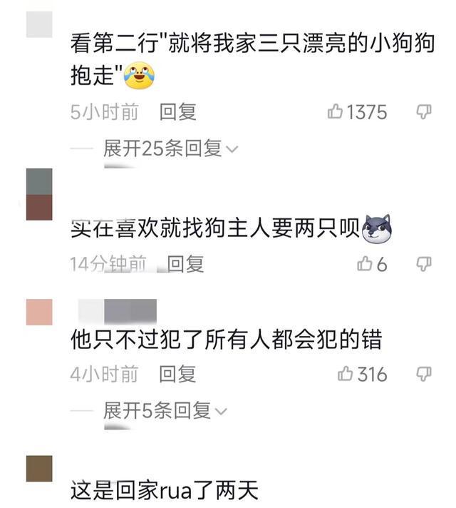 小奶狗太可爱,男子忍不住偷了3只,结局出人意料 小奶狗太可爱,男子忍不住偷了3只,结局出人意料