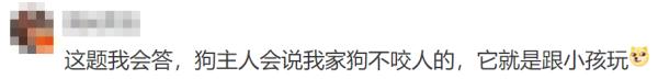 小女孩被未拴绳小狗狂追近30秒后摔倒,狗主人竟淡定围观 小女孩被未拴绳小狗狂追近30秒后摔倒,狗主人竟淡定围观