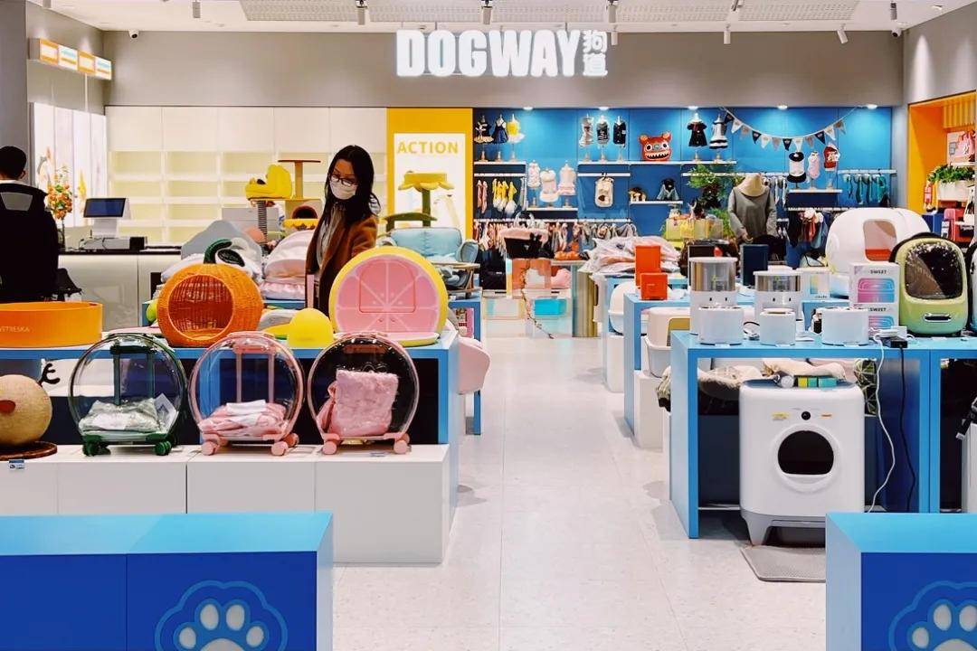 DOGWAY狗道，两个月从“就这？”到“真香！” 