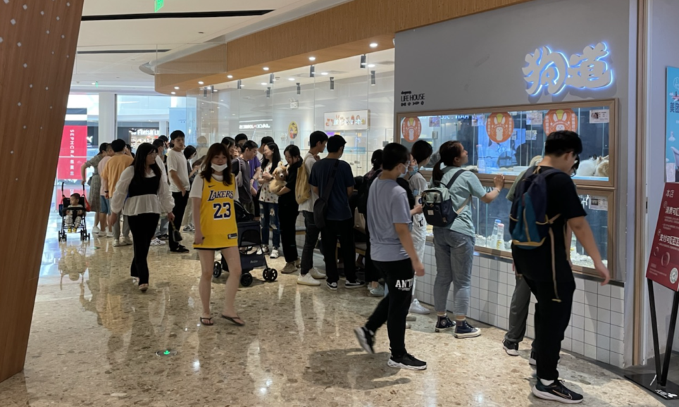 购物中心的新「宠」,月销百万的狗道以大店错位竞争 购物中心的新「宠」,月销百万的狗道以大店错位竞争