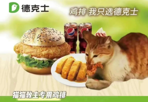 那只刚火的网红流浪猫,就被F旦大学教授虐杀死了! 那只刚火的网红流浪猫,就被F旦大学教授虐杀死了!