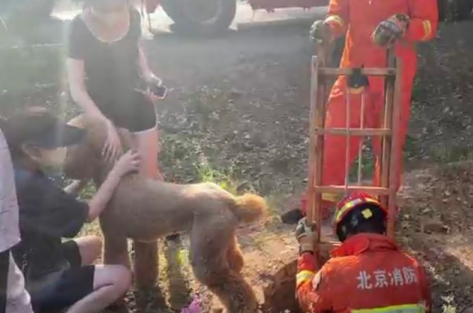 宠物狗不慎掉进枯井，消防架梯“打捞”