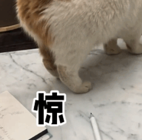 流浪猫的逆袭之路|变成了京城阔少，还住上了大别墅！