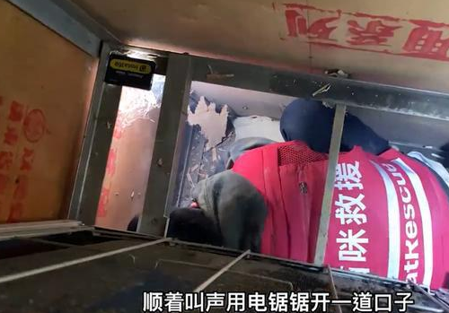 命悬一线！两只流浪猫被困墙中6天，一只已经成为干尸，还有一只…