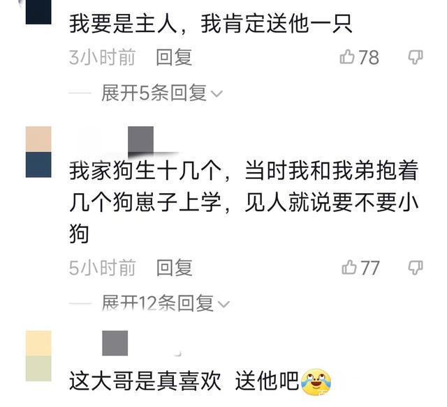 小奶狗太可爱,男子忍不住偷了3只,结局出人意料 小奶狗太可爱,男子忍不住偷了3只,结局出人意料