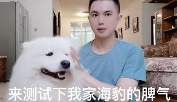 宠物博主刘布宝翻车，恼羞成怒怼网友脏话频出，本人还是老师？
