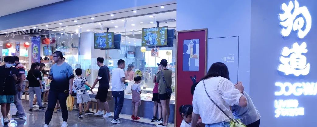 购物中心的新「宠」,月销百万的狗道以大店错位竞争 购物中心的新「宠」,月销百万的狗道以大店错位竞争