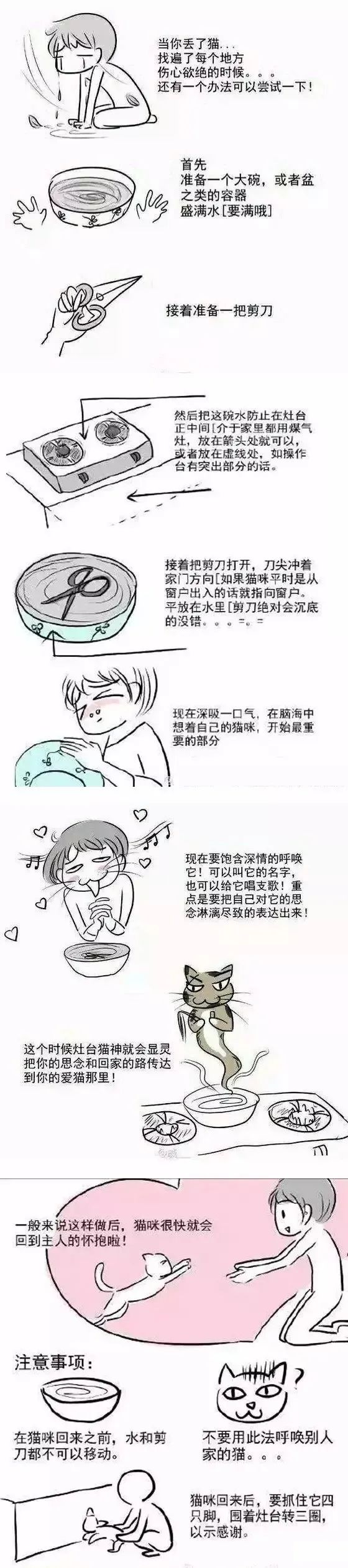 “我在回家路上捡到一只猫，竟是袁爷爷养的猫！”