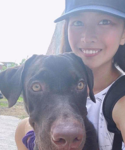 拉布拉多犬咬家具被丢弃，狗狗到新家后又咬充电线，结果再次被弃养