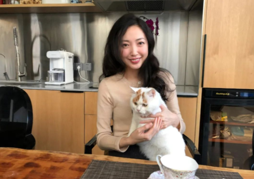 流浪猫的逆袭之路|变成了京城阔少，还住上了大别墅！