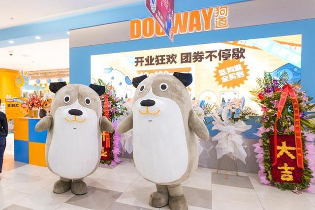 @爱宠达人,狗道宠物上海首店它来了!它带着福利来了! @爱宠达人,狗道宠物上海首店它来了!它带着福利来了!