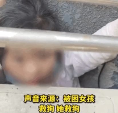 小女孩钻防护架救狗被困,哭着请求消防员:“叔叔,能不能先救狗狗?” 小女孩钻防护架救狗被困,哭着请求消防员:“叔叔,能不能先救狗狗?”