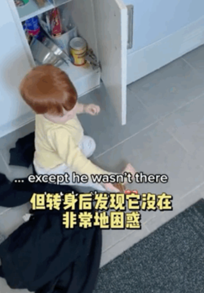 小女孩钻防护架救狗被困,哭着请求消防员:“叔叔,能不能先救狗狗?” 小女孩钻防护架救狗被困,哭着请求消防员:“叔叔,能不能先救狗狗?”