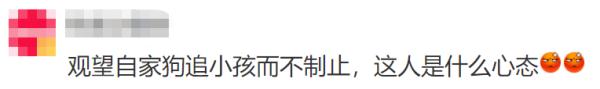 小女孩被未拴绳小狗狂追近30秒后摔倒,狗主人竟淡定围观 小女孩被未拴绳小狗狂追近30秒后摔倒,狗主人竟淡定围观