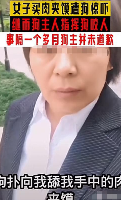 女子遛狗不牵绳竟使唤狗咬人,被拘后称：舔她的肉夹馍却打我的狗
