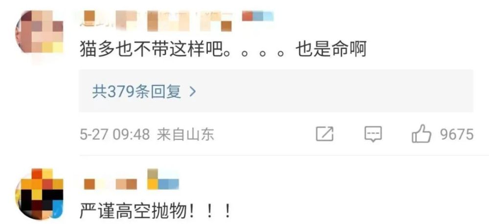 残忍!住户从3楼扔下幼猫称:“我家猫多,扔下去一只咋的!” 残忍!住户从3楼扔下幼猫称:“我家猫多,扔下去一只咋的!”