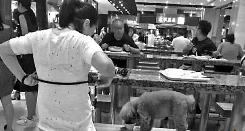 用公共餐具给狗喂食，铲屎官们怎么看待这个问题？