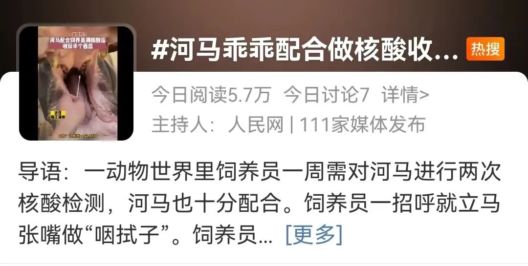 河马张大嘴乖乖做核酸，就为了炫半个西瓜…网友：又骗我养河马哈哈哈！