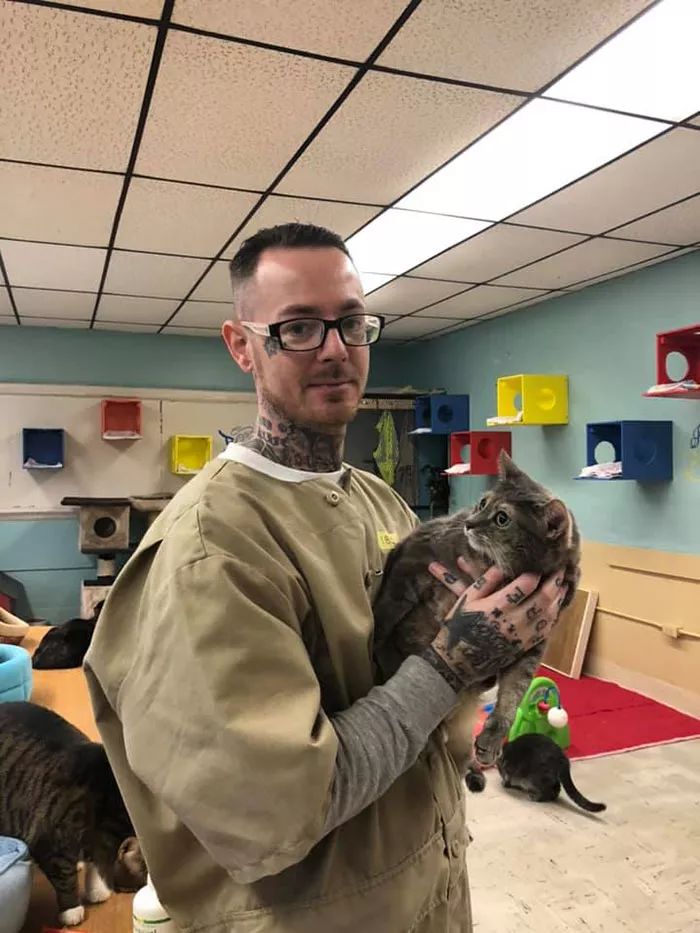 很治愈！可能被安乐死的流浪猫，送去监狱给犯人照顾会怎样