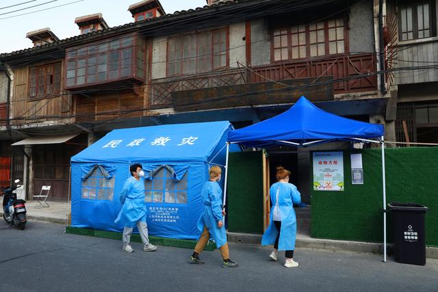 上海市建立首个“动物方舱” 上海市建立首个“动物方舱”