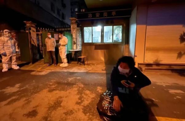 70岁独居老人的狗,躲过了隔离,却疑似死于强制消杀… 70岁独居老人的狗,躲过了隔离,却疑似死于强制消杀…