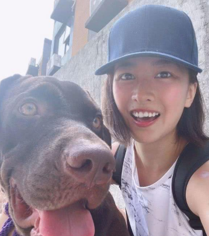 拉布拉多犬咬家具被丢弃，狗狗到新家后又咬充电线，结果再次被弃养