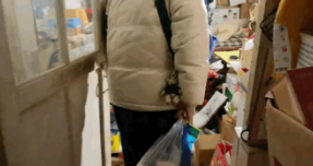 22岁老狗突然失踪,老人步行10公里苦苦找寻:“我不会丢下你!” 22岁老狗突然失踪,老人步行10公里苦苦找寻:“我不会丢下你!”