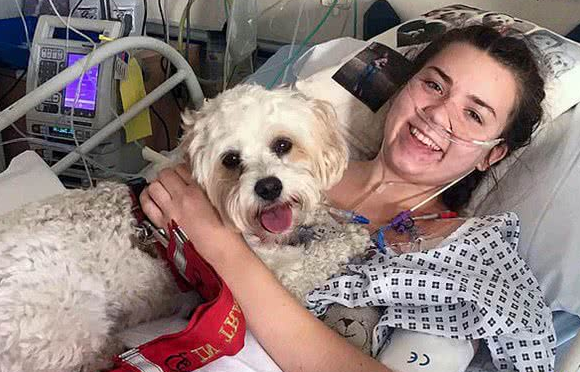 女主人暴病萌犬开门帮其穿衣打急救电话救命