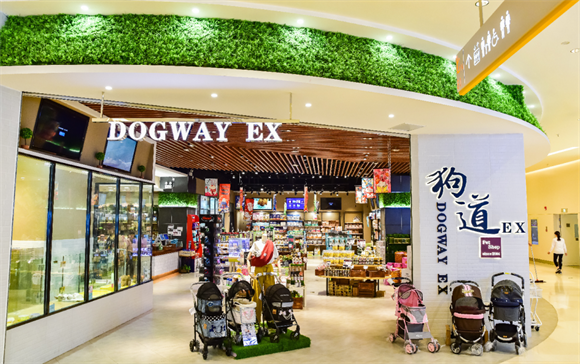 专访DogWay狗道：首进上海的千余平宠物零售体验空间品牌发展之路