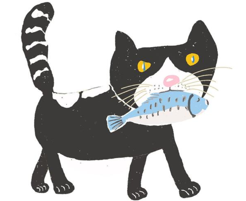 皇家猫粮怎么样？