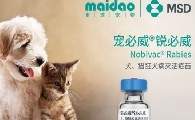 宠必威锐必威多久打一次