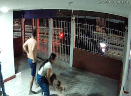 狗狗走失一周后自己跑回家,全家人看到它时的反应...这也太好哭了! 狗狗走失一周后自己跑回家,全家人看到它时的反应...这也太好哭了!