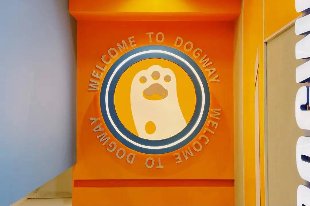 DOGWAY狗道，两个月从“就这？”到“真香！” 
