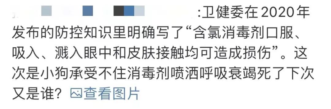70岁独居老人的狗,躲过了隔离,却疑似死于强制消杀… 70岁独居老人的狗,躲过了隔离,却疑似死于强制消杀…