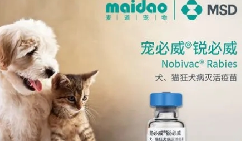 宠必威锐必威多久打一次.png