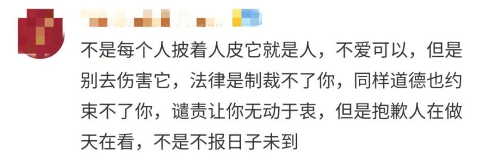 残忍!住户从3楼扔下幼猫称:“我家猫多,扔下去一只咋的!” 残忍!住户从3楼扔下幼猫称:“我家猫多,扔下去一只咋的!”