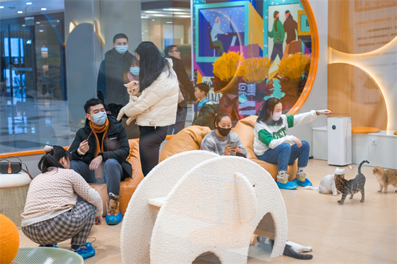 旗舰店面积上千平，狗道专注shopping mall一站式满足养宠家庭需求