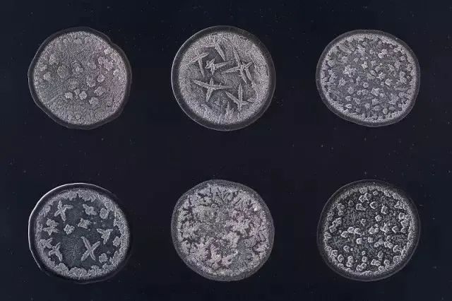 为什么一看到可爱的东西,我们就忍不住想rua? 为什么一看到可爱的东西,我们就忍不住想rua?