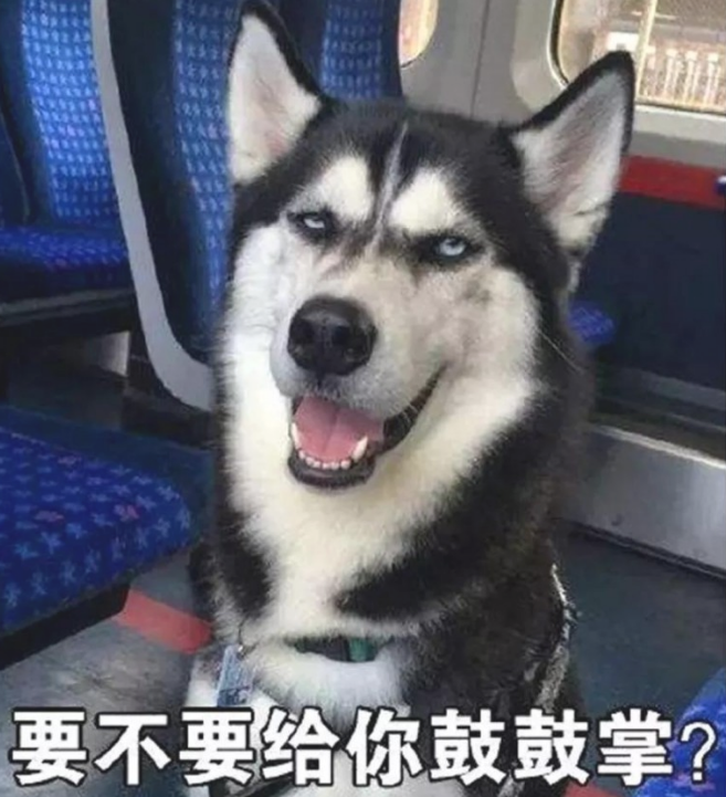好朋友养了二只哈士奇,称从没修过家,获知缘故后笑到直跺脚! 好朋友养了二只哈士奇,称从没修过家,获知缘故后笑到直跺脚!