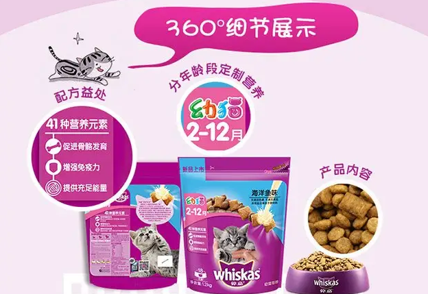 伟嘉猫粮带你了解猫咪健康喂养攻略 伟嘉猫粮带你了解猫咪健康喂养攻略