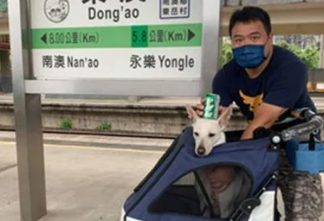 狗子提前睡在媳妇身旁，还目光暗示着他出去睡，网友笑哭