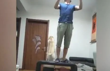 主人修灯,狗狗帮了百忙,网民:今夜加鸡腿! 主人修灯,狗狗帮了百忙,网民:今夜加鸡腿!