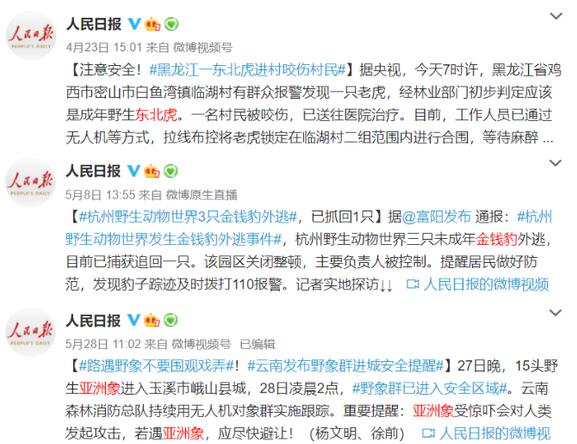 从今天起,认识一下身边的本土野生动物邻居 从今天起,认识一下身边的本土野生动物邻居